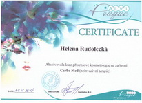 Diplomy a certifikáty:, 14/17