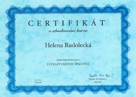 Diplomy a certifikáty:, 3/17